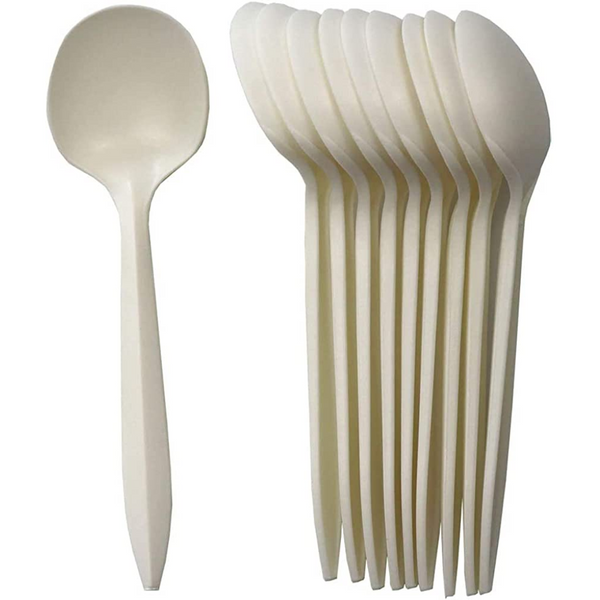 PLASTIC SPOONS 24CT