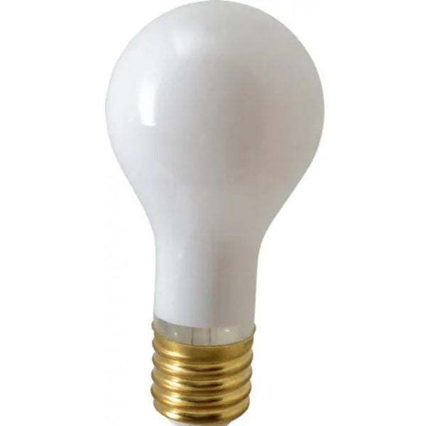 LIGHT BULB 60 WATT 3CT