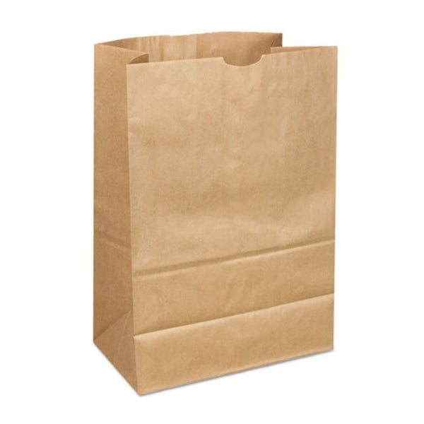 PAPER BAGS #12  500CT